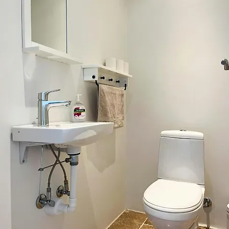 Charming Thatched From 1877 Ørsted