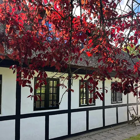 Charming Thatched From 1877 بيت للعطل Ørsted