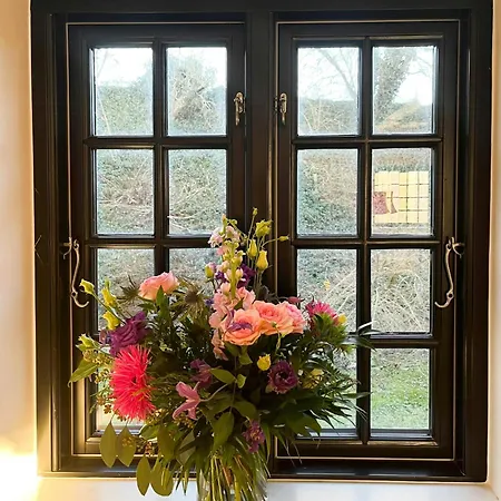 Charming Thatched From 1877 Ørsted