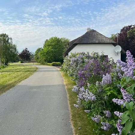 Charming Thatched From 1877