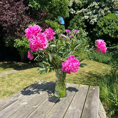 Charming Thatched From 1877 بيت للعطل