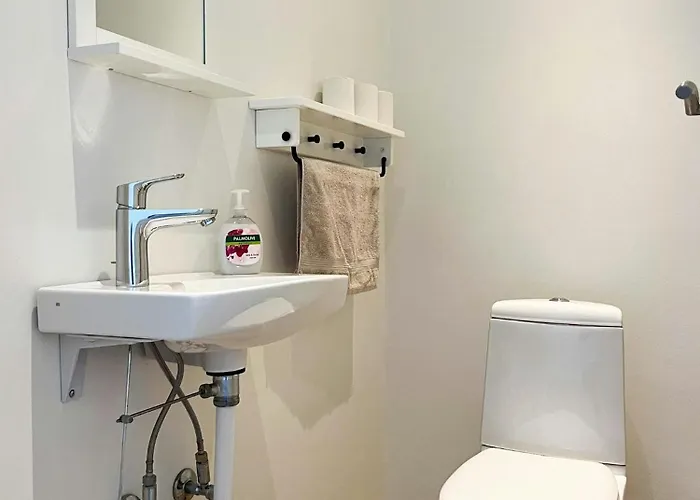 Charming Thatched From 1877 Ørsted