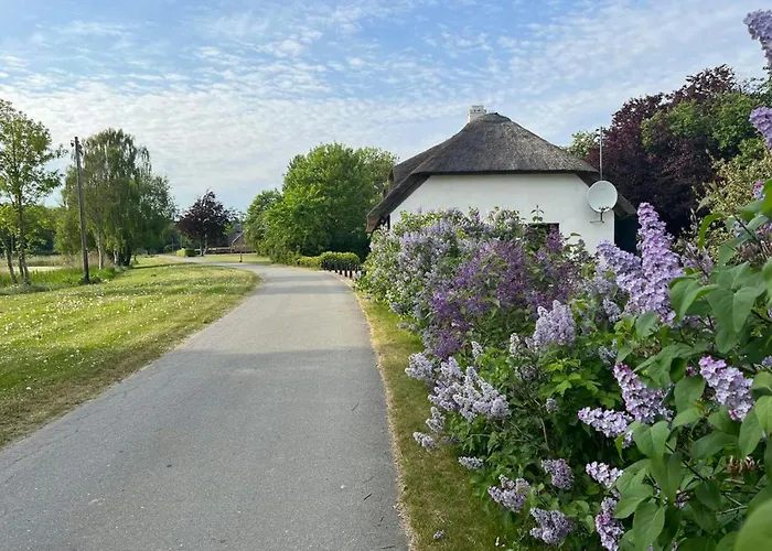 Charming Thatched From 1877