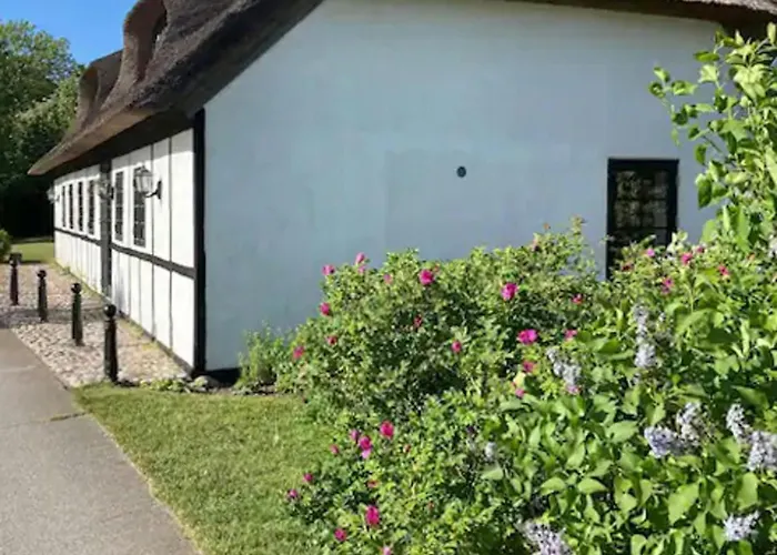 Charming Thatched From 1877 Σπίτι διακοπών Ørsted