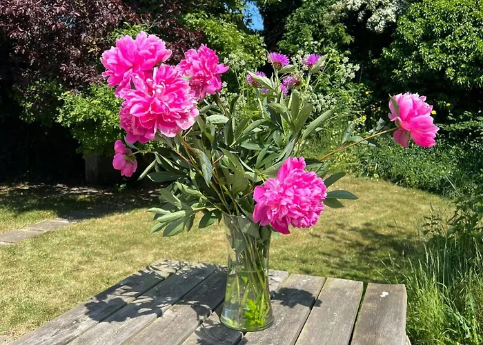 Charming Thatched From 1877 Σπίτι διακοπών